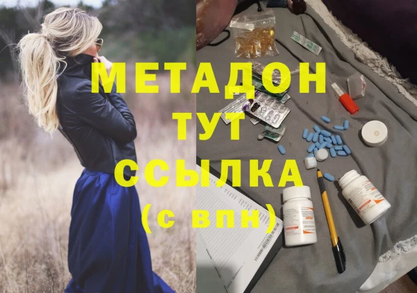 стаф Алексин
