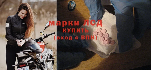 стаф Алексин