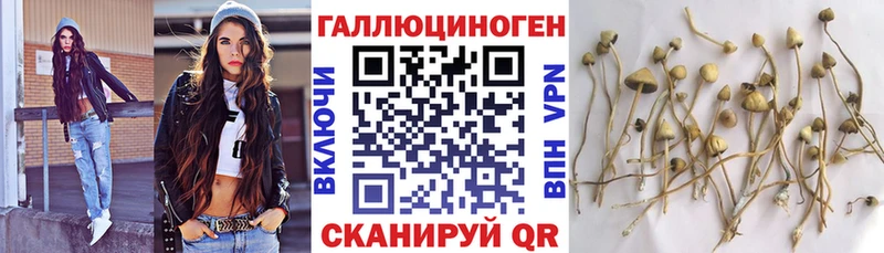 как найти наркотики  Невинномысск  Галлюциногенные грибы MAGIC MUSHROOMS 
